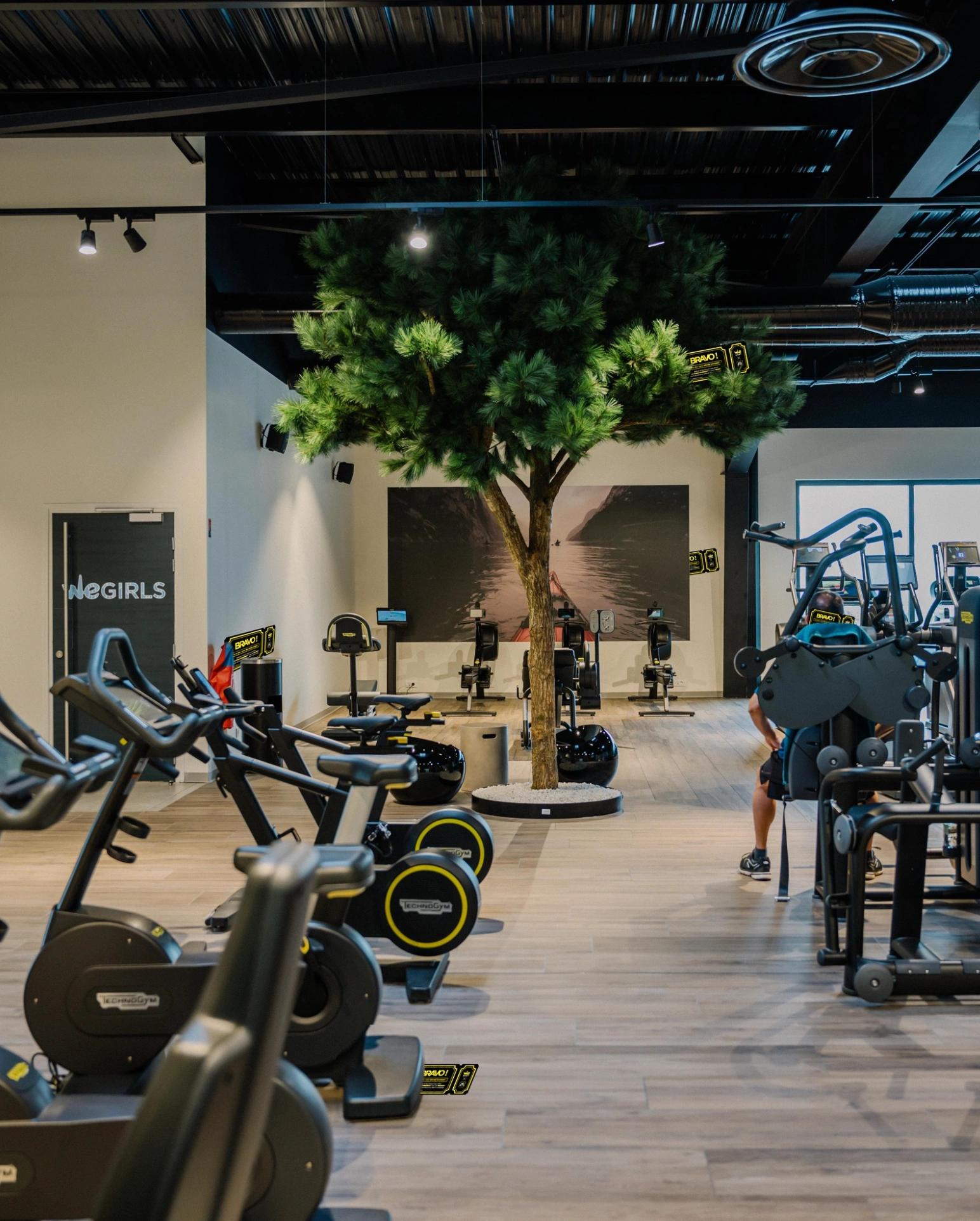 Salle de sport à Saint-Orens équipée de vélos d'appartement et machines de fitness modernes